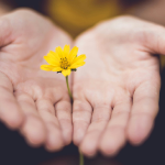 בעדינות וברגישות