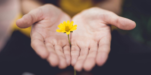 בעדינות וברגישות
