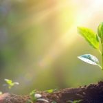 חוסן נפשי במלחמה