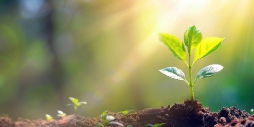 חוסן נפשי במלחמה